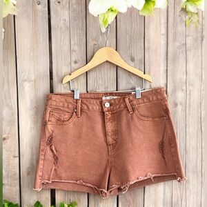 UNPUBLISHED Stella High-Rise Cut Offs NWT